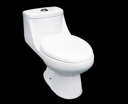 ONU declara Día mundial del inodoro