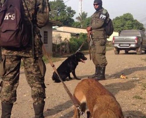 Allanan 47 propiedades en Olancho en busca de banda criminal