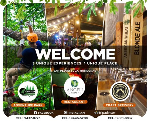 Nory Collins, 'la gran jefa' de 'Mommy y Tribe'