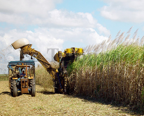 Británicos reconocen potencial exportador de Honduras en el acuerdo con la Unión Europea