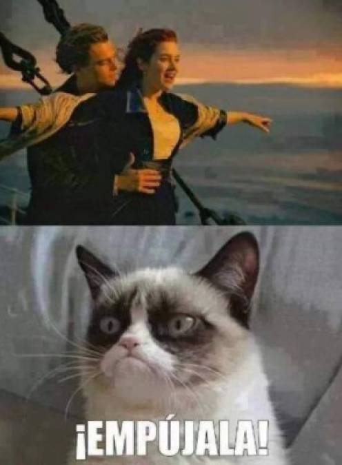 Grumpy Cat tenía 8,5 millones de fanáticos en Facebook, 2,5 millones de seguidores en Instagram y 1,5 millones en Twitter.
