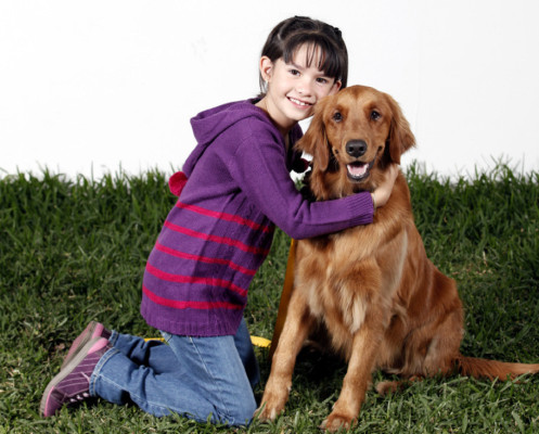 Cómo cuidar a tu mascota