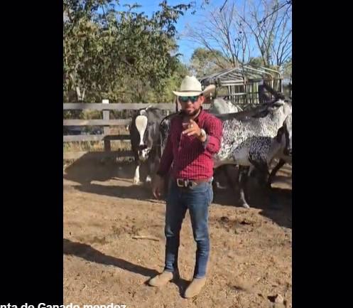 Se graba en Tiktok vendiendo ganado y horas después aparece muerto en Olancho