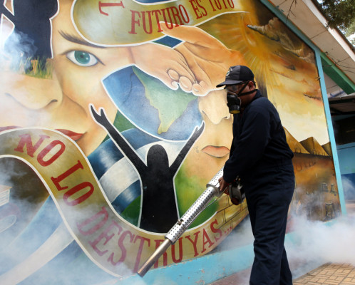 Ya van mil casos de dengue en Honduras