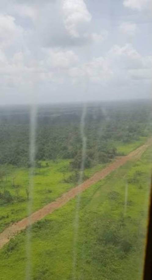 Las aeronaves se hallaban en un zona selvática.