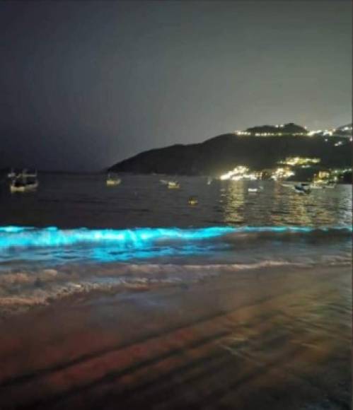 El fenómeno, llamado bioluminiscencia , no ocurría desde hacía 60 años, según medios locales.