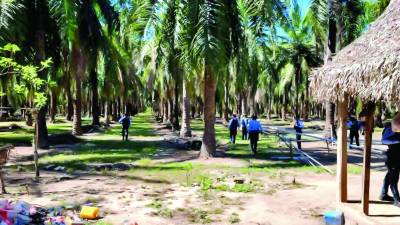 Se agudiza problemática de invasiones de tierra y se aleja la inversión.