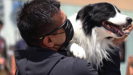 El entrenador de perros Edgar Martínez, abraza a su mascota Orly durante una manifestación contra el maltrato animal hoy.