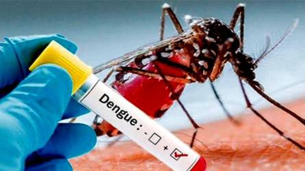 En paralelo con la pandemia del covid-19, el dengue gana terreno dejando muertes y hospitalizaciones.