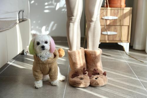 ¿Cómo proteger a las mascotas del clima frío?