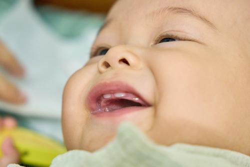 Limpiar la saliva de forma regular para evitar la irritación de la piel o un sarpullido.