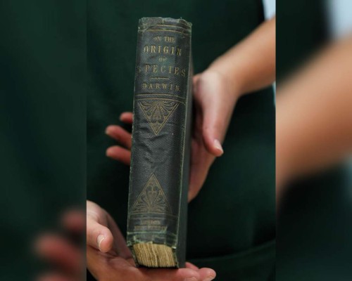 'El origen de las especies', un legado que enfrenta la pérdida de naturaleza