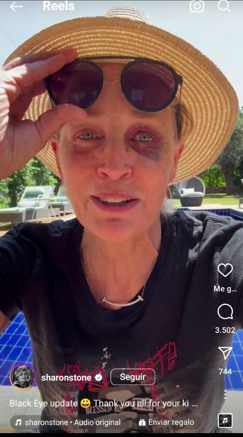 Sharon Stone publicó un reel en su Instagram, donde especificó lo que sucedió.