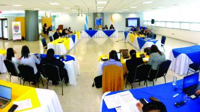 Las apuestas mayores van dirigidas a la apertura de doctorados.