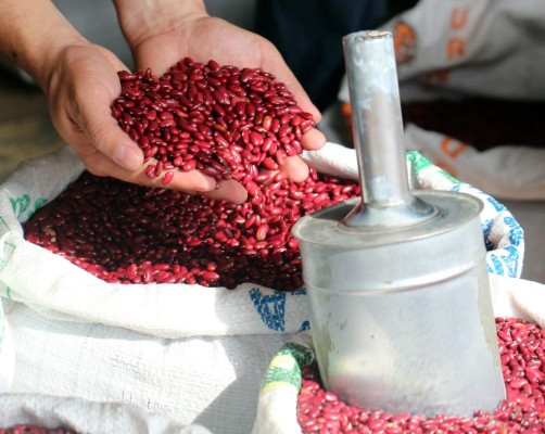 Autoridades prometen bajar el precio de frijoles a 12 lempiras