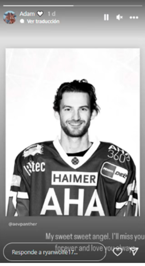 Antes de recalar en el Reino Unido, Johnson jugó anteriormente en la Liga Nacional de Hockey de Norteamérica (NHL), donde disputó 13 partidos con los Pittsburgh Penguins. Johnson jugó en el Augsburger Panther alemán antes de fichar por el Nottingham Panthers en agosto.