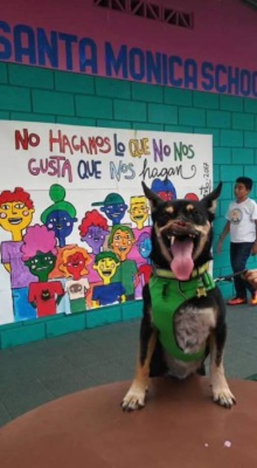 Foto:Duke el Guerrero@DukeelGuerrero<br/>