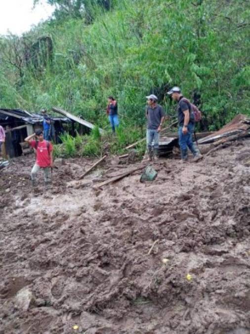 El derrumbe, que según testigos desplazó la tierra aproximadamente un kilómetro, ocurrió la noche del martes en una zona de difícil acceso en el Macizo de Peñas Blancas, una reserva natural de 1.745 metros sobre el nivel del mar, ubicado en el municipio de La Dalia, Matagalpa, 200 kilómetros al norte de Managua.