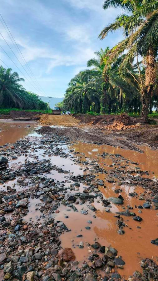 Pese a que han mermado lluvias, damnificados no han podido volver a casa