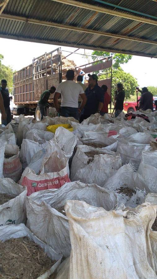 Parte de alimentos para ganado entregado a productores de Olanchito.
