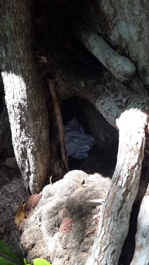 Hallan prendas que podrían ser de mujeres desaparecidas en Roatán