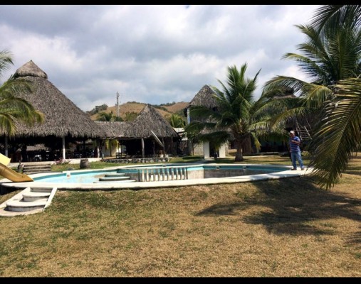 El imperio de los 100 millones de dólares de Los Caballeros Templarios