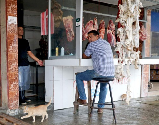 Riesgo en mercados por falta de medidas de bioseguridad