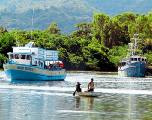 Conocen denuncia sobre daños en isla