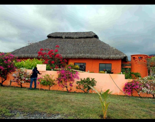 El imperio de los 100 millones de dólares de Los Caballeros Templarios