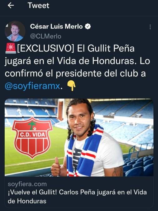 El reconocido periodista argentino César Luis Merlo informó en sus redes sociales el fichaje del “Gullit” Peña por el Vida del fútbol hondureño.