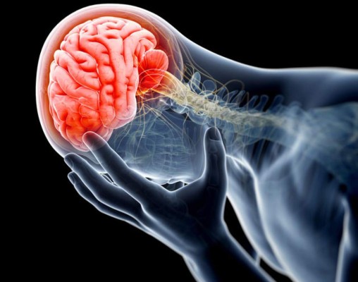 Unos científicos británicos localizan el centro del dolor en el cerebro