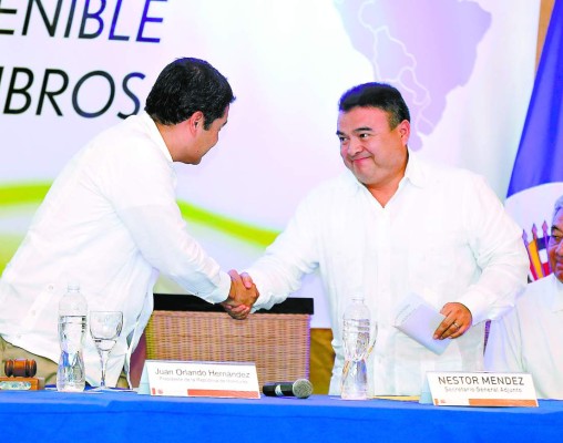 Acciones firmes y decisivas garantiza la OEA en Honduras