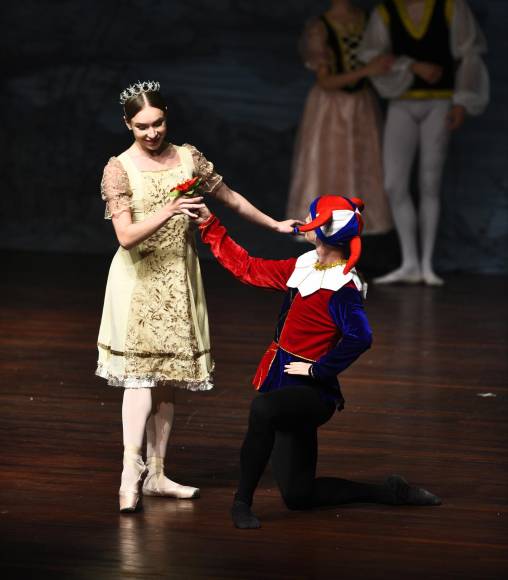 La trama principal del ballet gira en torno a Sigfrido, un príncipe enamorado de Odette, la princesa que, tras el hechizo del malvado brujo Von Rothbart, queda convertida en cisne durante el día y humana durante la noche. La maldición solo se romperá si la princesa encuentra el amor verdadero. Sin embargo, Sigfrido, quien debe elegir esposa en el próximo baile, también será víctima de los engaños del mago. Tal es así que logra confundirlo hasta el punto de prometerlo con su hija Odile, el Cisne Negro.