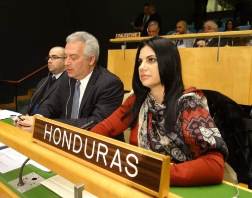 Lizzie Flores busca la presidencia de la Asamblea General de la ONU