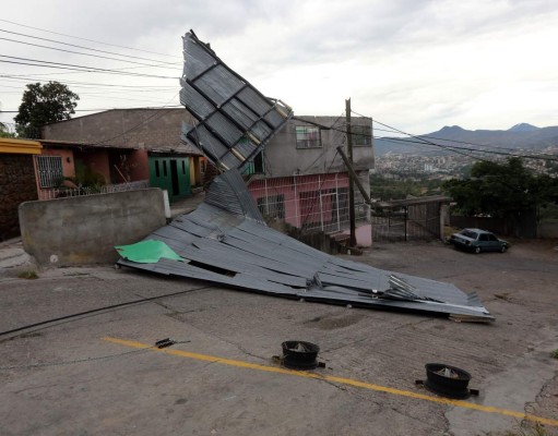 Vientos fuertes de 30 minutos dejan árboles y rótulos caídos en Tegucigalpa