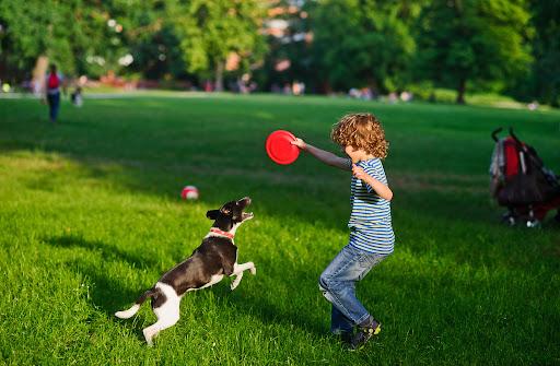 Los perros están entrando en una nueva fase de evolución, según la ciencia, ¿cuál es?