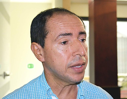 Palmeros le apuestan a la producción de biocombustible