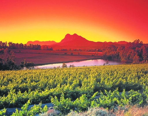 Regiones vinícolas para hacer enoturismo