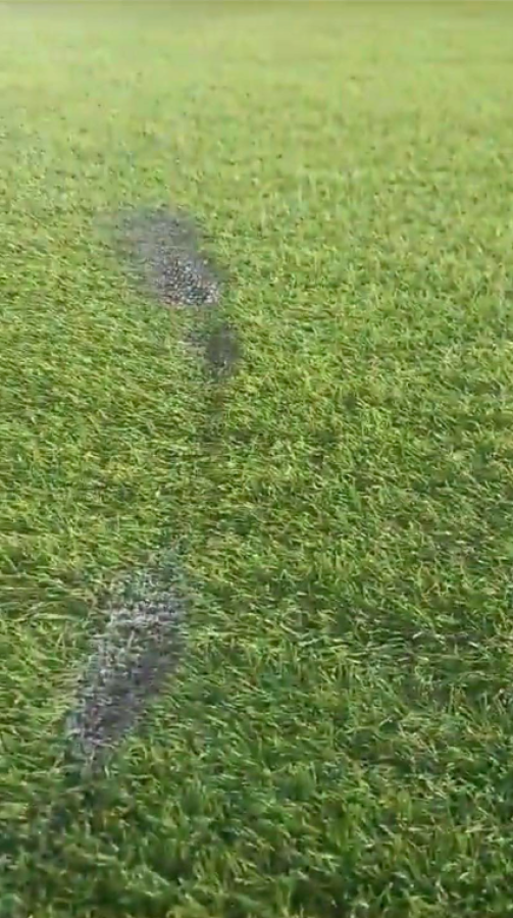 ”No hay ninguna justificación de que aficionados de los equipos de Tegucigalpa hagan algo como esto”, comentó Atala en Twitter. 