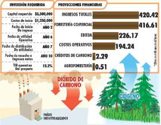 Abrirán negocio de bonos de carbono