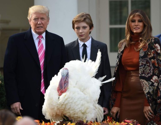 Trump perdona a dos pavos por el Día de Acción de Gracias