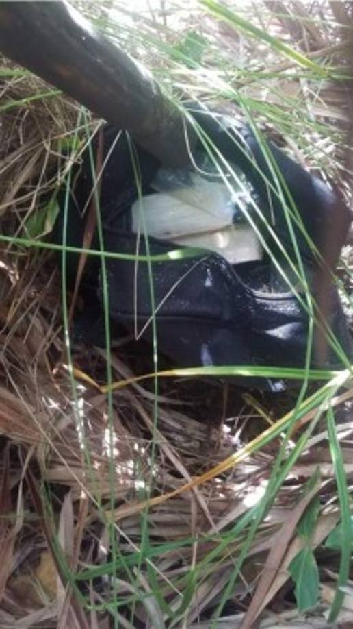 Los kilos de cocaína estaban escondidos en una mochila.