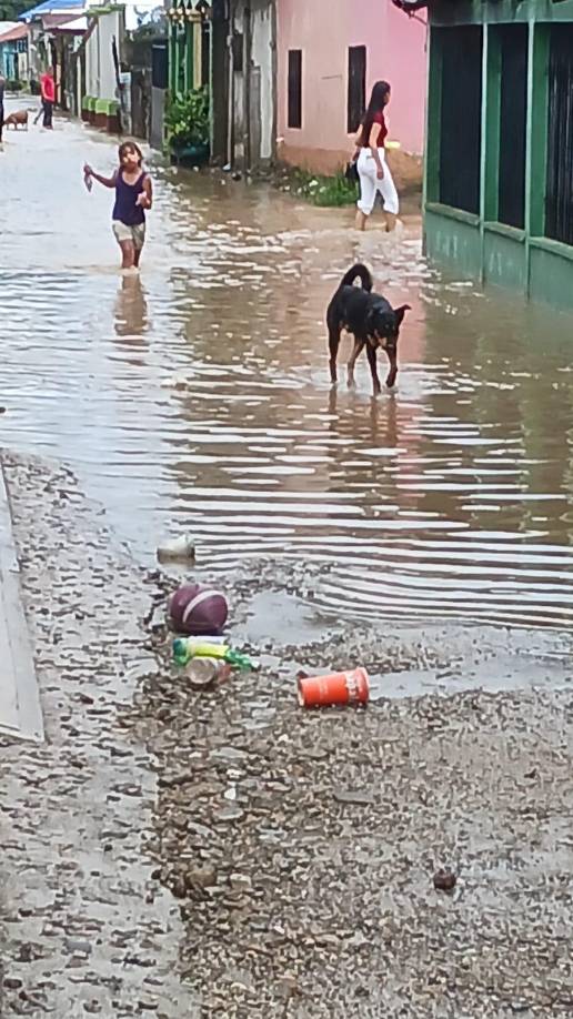 As´quedaron las calles de la colonia Policarpo Paz en las cercanías del puente La Democracia.