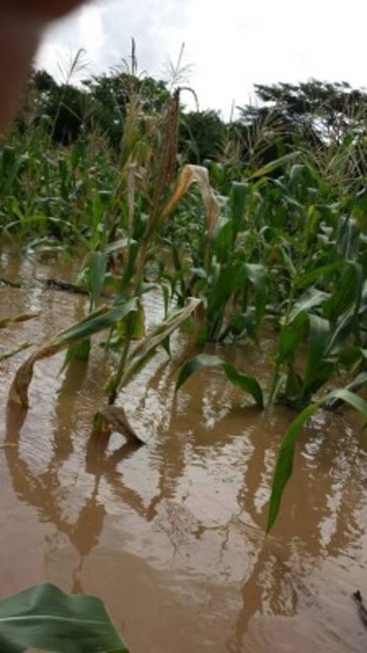 Juan José Reyes, jefe alerta temprana de Copeco, informó que la alerta roja en Choluteca implica evacuación inmediata de las personas que habitan en la parte baja de esa zona.<br/>