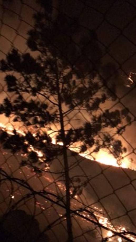 El fuego ardió por más de 20 horas hasta que las autoridades lograron controlarlo la mañana del jueves.