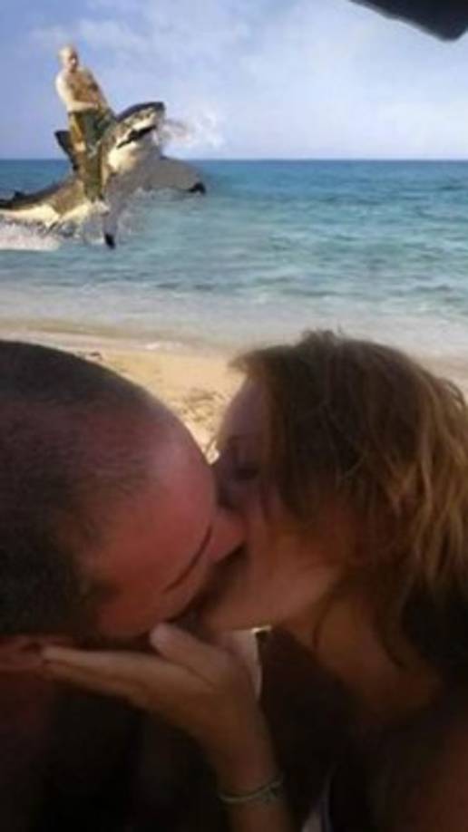 ¡A domar un tiburón!