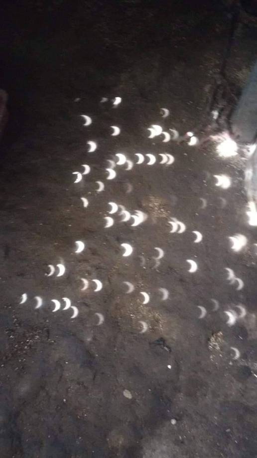 Cabe mencionar que, los eclipses solares son recomendados verlos siempre con lentes ópticos apropiados para mirar directamente al sol, pero hay otras formas de apreciarlo y esto es a través de los cambio en el ambiente que estos eclipses solares presentan. ¡Aquí te decimos cuales!.