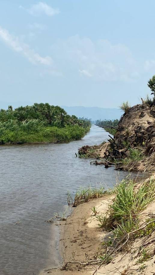 Han identificado lugares como Francia, Icoteas y Sico, desde donde la droga era trasladada al occidente de Honduras.