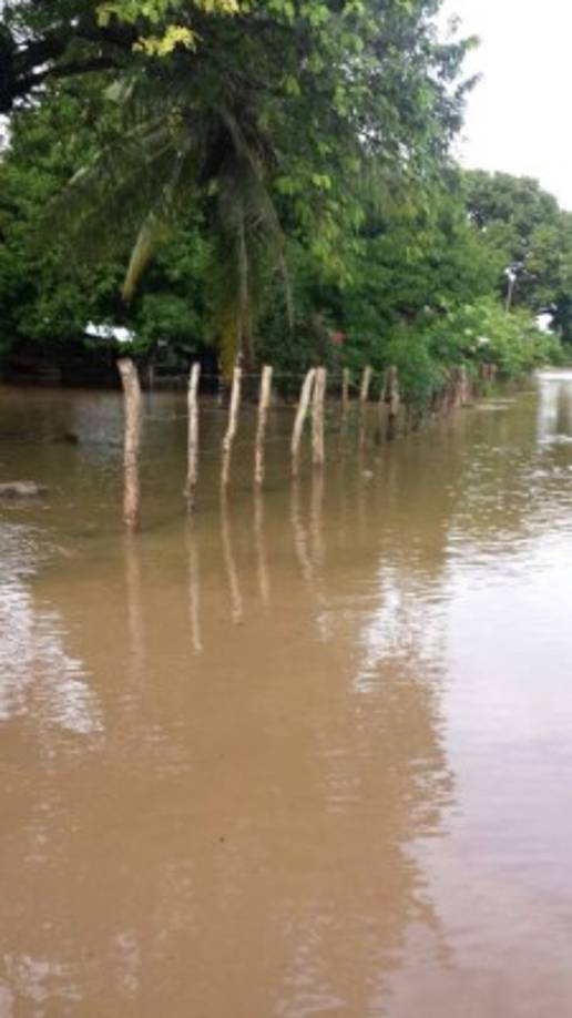 De acuerdo a los reportes en Tegucigalpa por lo menos 500 personas han resultado afectadas especialmente las que residen en las colonias Los Pinos, Canaán, Betania, Obrera y Villa Vieja. <br/>