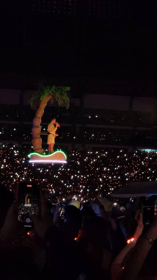 Uno de los momentos más esperados del concierto fue ver a Bad Bunny en la palmerita.